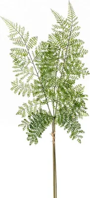 Produktbild von künstliches Farn mit 3 Zweigen H. 58cm grün Emerald Blätterzweig