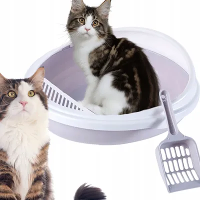 Produktbild von PETSTORY Große XL Katzentoilette Maine Coon Grau