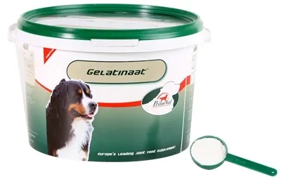 Productafbeelding van Oeroude Gelatinehond