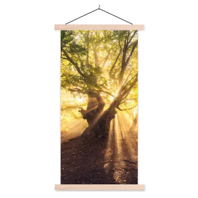 Produktbild von MuchoWow® Textilposter Baum - Wald - Sonne 60x120 cm mit holzfarbenen Rahmen - Holz
