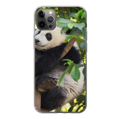Produktbild von MuchoWow® Handyhülle Schutzhülle Hülle für iPhone 12 Pro Max Panda - Tier - Baum Silikon Softcase Handy Hülle - Hartschale