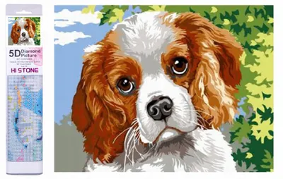 Image de Norimpex peinture diamant yeux de chien 30x40cm