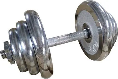 Obrázek produktu pro ACRA Činka nakládací jednoruční chromovaná 20 kg - 25 mm