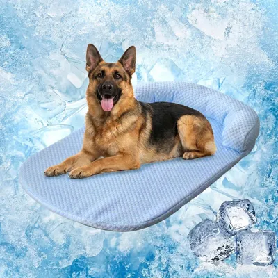 Image de Tapis rafraîchissant pour chien, grande taille, auto-refroidissant, lavable, bleu, 80 x 60 cm
