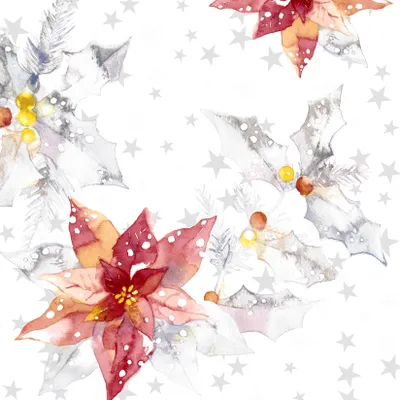 Immagine prodotto di Tovaglioli 33x33 cm - Winter dream