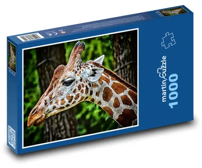 Zdjęcie produktu dla Puzzle 1000 Żyrafa w naturze - martinpuzzle