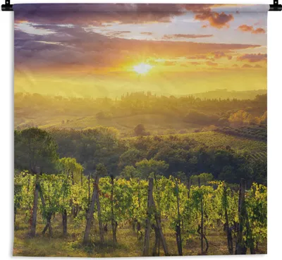 Produktbild von MuchoWow® Wandteppich Wandbehang Toskana - Italien - Weinreben 90x90 cm Tapisserie Dekoration Wandtuch - Wandaufhänger