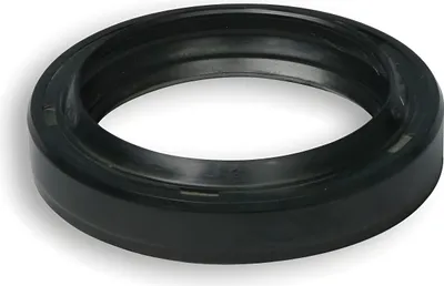 Obrázek produktu pro Těsnění hřídele Malossi FKM, průměr 31,7 x 42 x 9 mm, OEM 66 9007B, 669007B