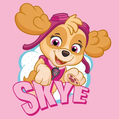 Produktbild von Magic Handtuch Tlapková Patrola Pilot Skye 30x30 cm Wählen Sie ein Paket von.