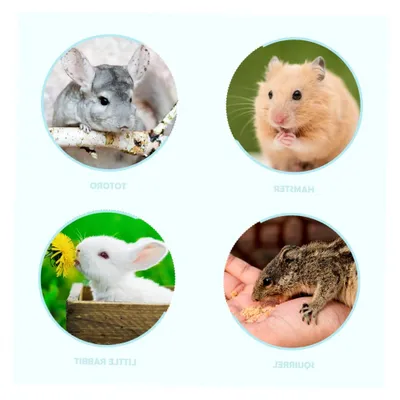 Produktbild von Papierstreu für kleine Haustiere, saugfähig und geruchsneutral, aus Papierchips, Käfigeinlage für Hamster, Meerschweinchen und Kaninchen