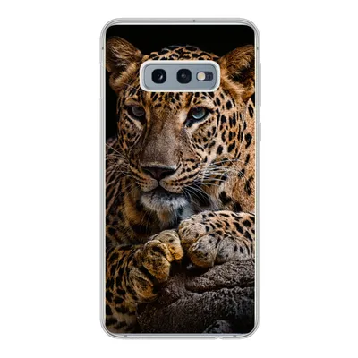Produktbild von MuchoWow® Handyhülle Schutzhülle Hülle für Samsung Galaxy S10e Wildtiere - Panther - Porträt - Schwarz - Tiere Silikon Softcase Handy Hülle - Handy