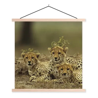 Produktbild von MuchoWow® Textilposter Junge Gepardenjunge 120x120 cm mit holzfarbenen Rahmen - Textil-Poster