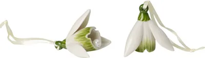Produktbild von Villeroy & Boch Mini Flower Bells Schneeglöckchen Set 2tlg.