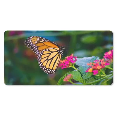 Produktbild von MuchoWow® Mauspad Mousepad Schmetterlinge - Blume - Natur 60x30 cm - Mousepads - Maus Mat - Pad - Mausunterlage - Nachhaltig