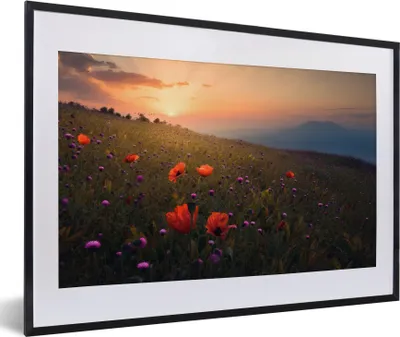 Produktbild von MuchoWow® MuchoWow® Gerahmtes Poster Blumenfeld - Gras - Blumen - Pflanzen - Sonnenuntergang - Orange 60x40 cm - Poster mit zchwarzem Bilderrahmen - Schlafzimmer - Plakat in Rahmen - Drucken