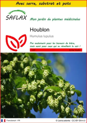 Image de SAFLAX Ensemble de culture - Houblon - 50 graines - Humulus
