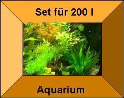Produktbild von 7 Töpfe + 7 Bund Wasserpflanzen, Aquarienpflanzen