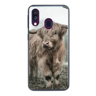 Produktbild von MuchoWow® Handyhülle Schutzhülle Hülle für Samsung Galaxy A40 Schottische Highlander - Natur - Herbst - Tiere - Wildtiere - Wald Silikon Softcase Handy Hülle - Handy-Tasche