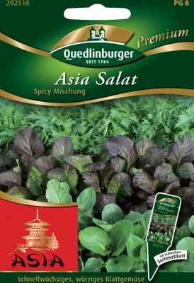 Produktbild von Asia Salat, Spicy Mischung
