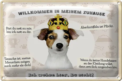 Produktbild von Blechschild Spruch 30x20cm Tiere Hund willkommen wohne hier