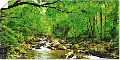 Immagine prodotto di Poster ARTland "Foresta autunnale sul fiume Smolny" Dimensioni: 100x50 cm