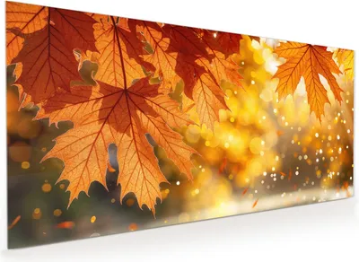 Produktbild von Küchenrückwand Spritzschutz Glas mit Motiv Herbstblätter 40 x 40 cm