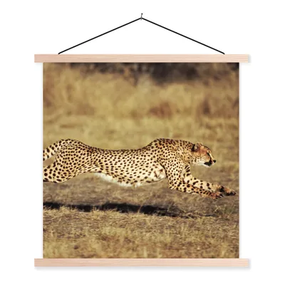 Produktbild von MuchoWow® Textilposter Vorderansicht eines weiblichen Geparden 120x120 cm mit holzfarbenen Rahmen - Textil-Poster
