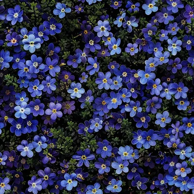 Image de OUTDOOR DEKOSTOFFE OXFORD - Motiv Blumen I DX5209