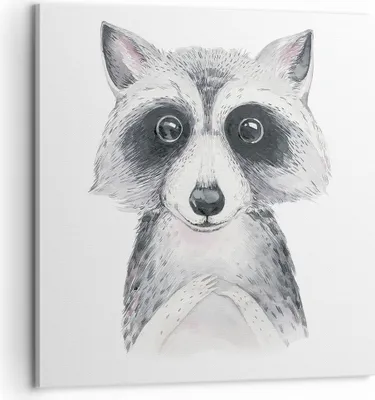 Produktbild von Bild auf Leinwand - Leinwandbild - Einteilig - Waschbär Bild Kinder - 60x60cm - Wand Bild - Wanddeko - Wandbilder - Leinwanddruck - Bilder - Wanddekoration - Leinwand bilder - Wandbild - AC60x60-4607
