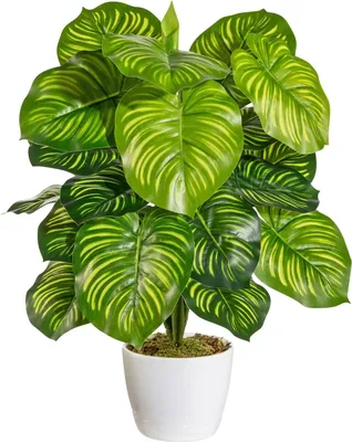 Produktbild von Kunstpflanze Marantabusch - Grün - weißer Keramiktopf - H 50 cm