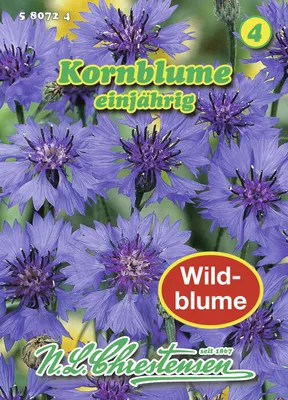 Produktbild von Kornblume | Kornblumensamen von N.L. Chrestensen