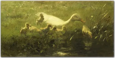 Produktbild von Coloray Bild aus Acryl 140 cm x 70 cm - Wanddekoration Küche Bild auf Acrylglas Dekoration Wohnzimmer Gehärtetes Acryl - Tiere Ente Gras Natur