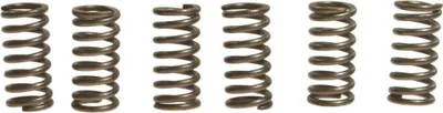 Immagine prodotto di Kit 6 molle frizione EBC CSK034
