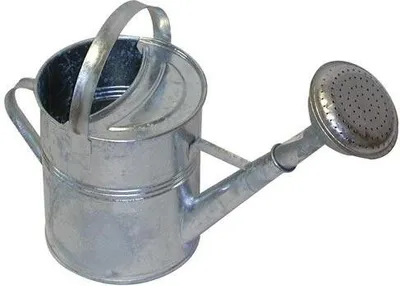 Obrázek produktu pro konev 5l + růžice, Zn 584056
