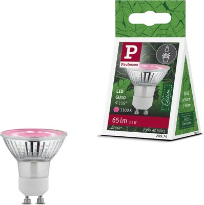 Obrázok produktu pre Paulmann Grow Green Edition Filament 230V LED reflektor