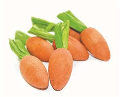 Image de Critter's Choice Happy Pet Carrot Nibblers Knaaghout