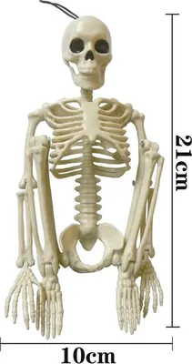 Zdjęcie produktu dla Halloweenowa dekoracja szkieletu czaszki Symulowane ludzkie plastikowe kości Nawiedzony dom Dekoracyjne rekwizyty szkieletu Panna młoda z ubraniem