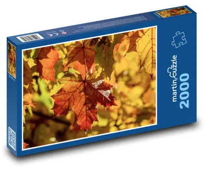 Zdjęcie produktu dla martinpuzzle - Puzzle 2000 - Javor - kolorowe liście, jesień