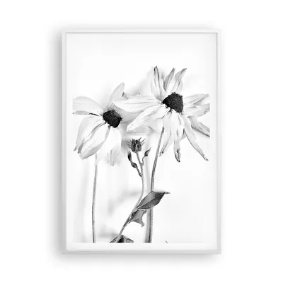 Produktbild von Gerahmtes Poster - Weißer Rahmen - Verwelkt Blumen Monochrom - 70x100 cm - Wand Bild - Wanddeko - Wandbilder - Kunstposter - Wandposter - Bilderrahmen - Bilder - Kunstdruck - P2WPA70x100-4737