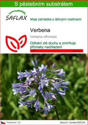 Obrázek produktu pro SAFLAX - Verbena - Verbena officinalis - 250 Semena - S pěstebním substrátem bez klíčků