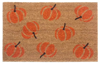 Produktbild von NYVI Fußmatte Kokos - Rutschfest, Wetterfest, für Innen und Außen - Schmutzfangmatte Kokosmatte - 45x75 cm Rechteckig - Pumpkins Orange