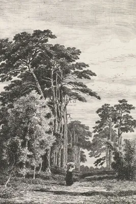 Immagine prodotto di ESTAhome fotomurale paesaggio boscoso bianco e nero 186 x 279 cm