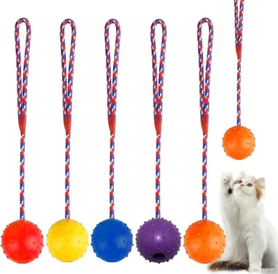 Image de Balle à lancer Jouet pour chiens - Ø 5 x 30 cm - Balle en caoutchouc naturel avec corde - Jouet interactif pour grands et petits chiens