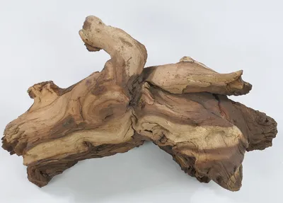 Produktbild von Mopani Wurzel Größe "S" 10cm - 20cm / Aquarium Holz Aquaristik Dekoration Garnelen Pflanzen Terrarium Reptilien