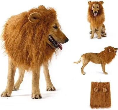 Productafbeelding van Realistische Leeuwenmanen voor Honden en Katten - Verstelbaar Kostuum voor Feesten en Halloween