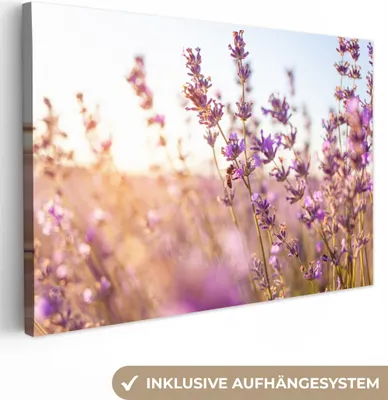 Produktbild von MuchoWow® - Leinwandbilder - Lavendel - Nahaufnahme - Sonne - Blumen - Lila, Wandbild, Wanddeko Bilder Wohnzimmer, 120x80 cm
