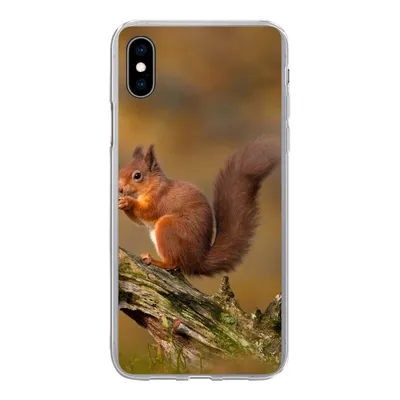 Produktbild von MuchoWow® Handyhülle Schutzhülle Hülle für iPhone Xs Eichhörnchen - Baumstamm - Wald Silikon Softcase Handy Hülle - Handytasche