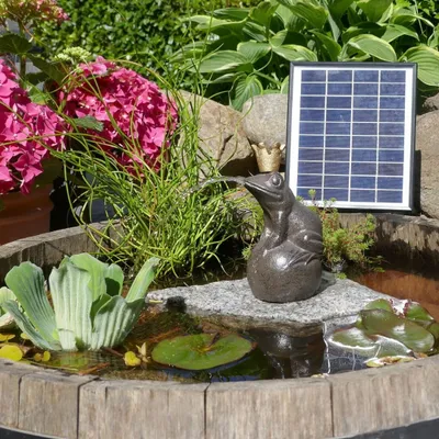 Produktbild von Wasserspeier Froschkönig Gusseisen inkl. Solar-Akkupumpe | Komplettset für Miniteich & Garten
