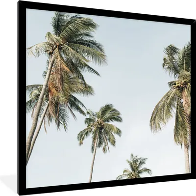 Produktbild von MuchoWow® Gerahmtes Poster Palmen - Sommer - Tropisch 40x40 cm - Poster mit Schwarzem Bilderrahmen Wandposter Rahmen Foto Bilder - Mit Rahmen - Wanddekoration Schlafzimmer