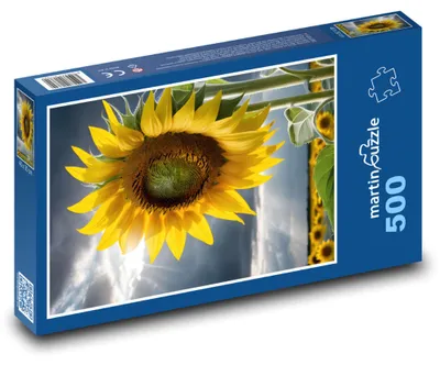 Obrázok produktu pre martinpuzzle - Puzzle 500 - Žltá slnecnica